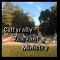 CULTURALLY RELEVANT MINISTRY